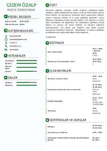 Müzik Öğretmeni Cv Örnekleri cv indir